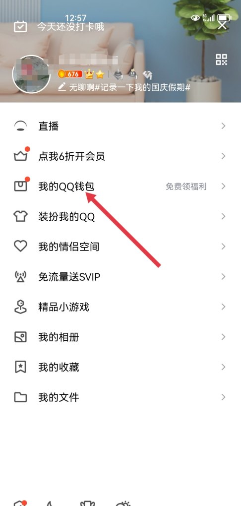 q币如何充进王者里_q币怎么给别的账号充游戏