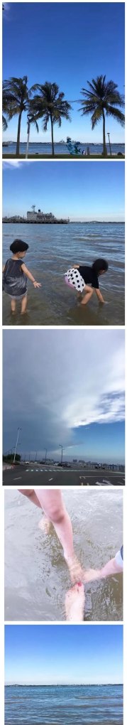 湛江寸金公园有什么特点,什么历史_寸金公园历史背景