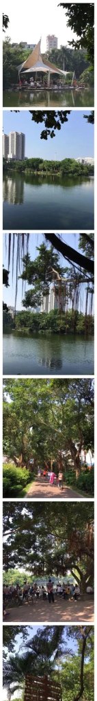 湛江寸金公园有什么特点,什么历史_寸金公园历史背景