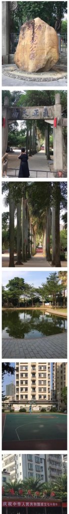 湛江寸金公园有什么特点,什么历史_寸金公园历史背景