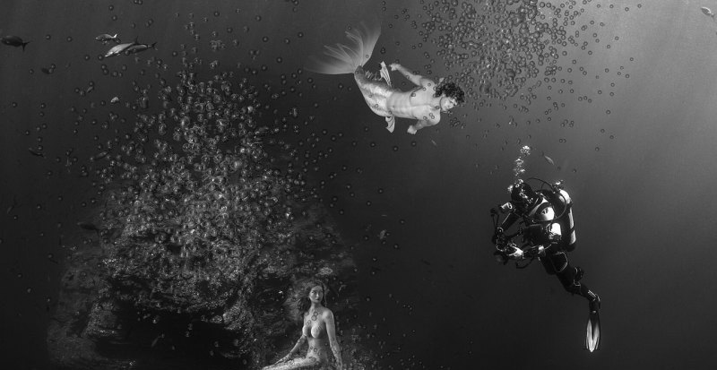 原神因论派是什么_原神无腿并非游鱼的生物有哪些