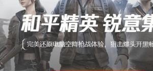 和平精英国内版怎么玩，怎样玩好和平精英游戏