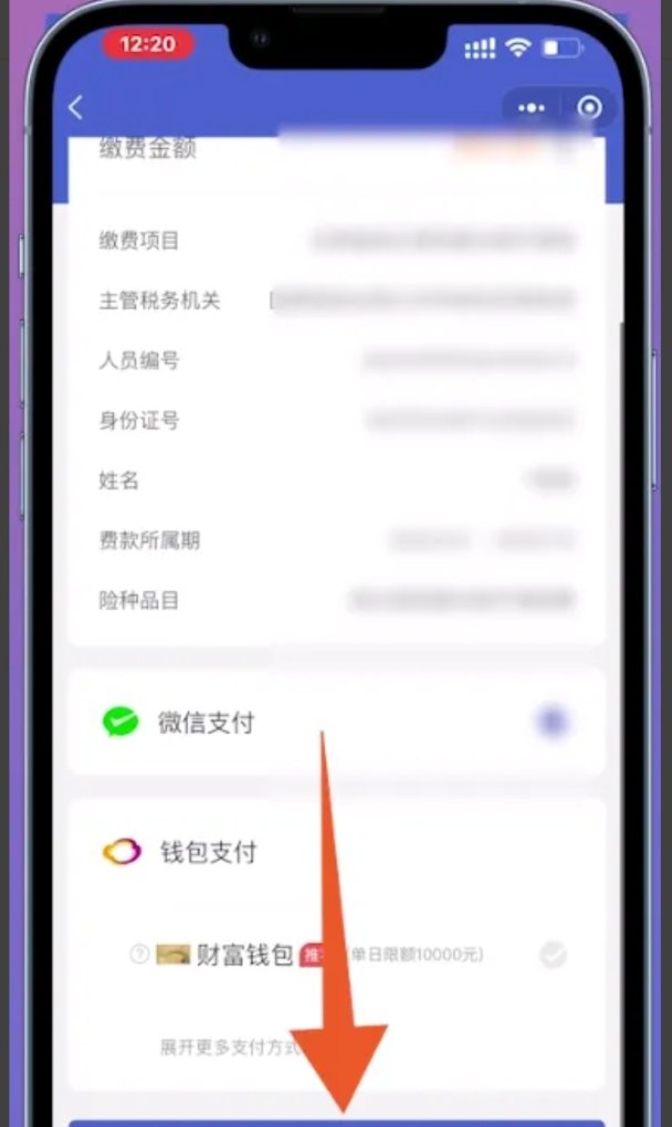 医疗保险手机上怎么交,手机医疗