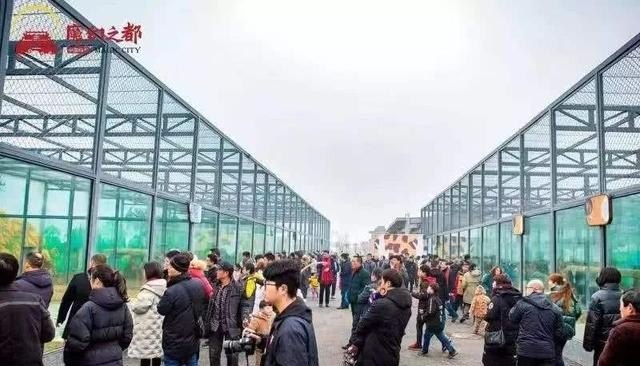 临泉古城旅游景点_临泉有什么好玩的地方
