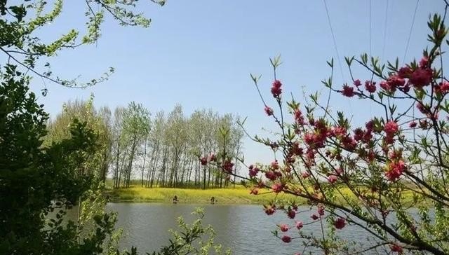 临泉古城旅游景点_临泉有什么好玩的地方