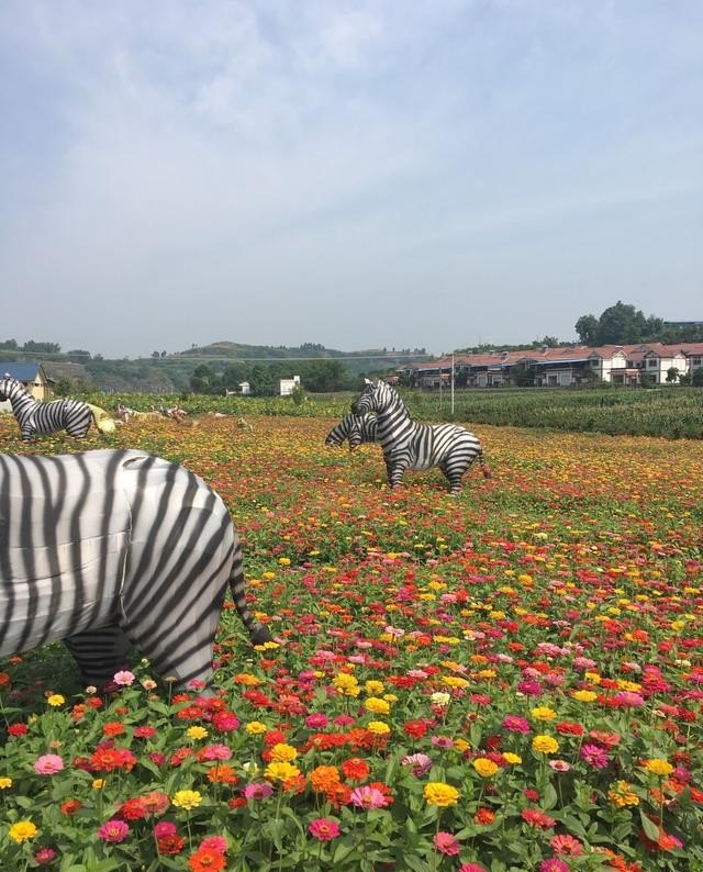 如何将果园打造成高品质观光，采摘生态园_在农田保护区果园搞旅游开发合法吗