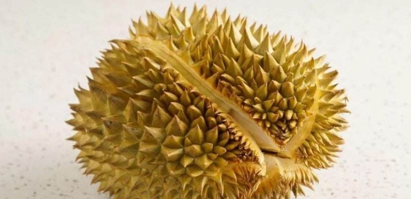 榴莲肉很硬怎么办，榴莲硬怎么办