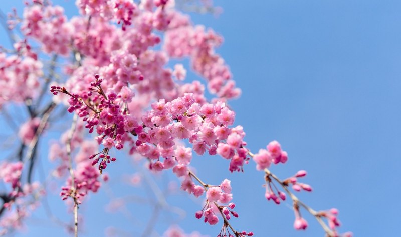 客户生日祝福语简短上档次_企微如何给客户送生日祝福