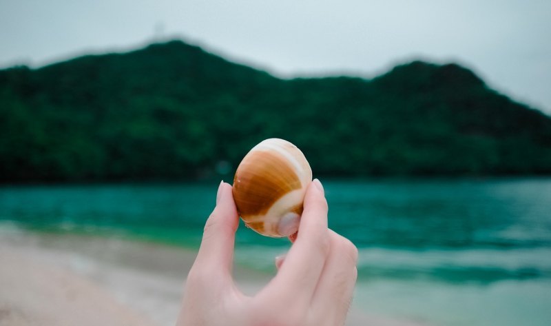 honey是什么意思_honey和hunny的区别