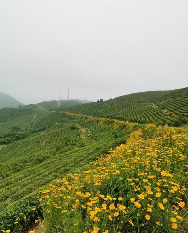为什么旅游过后有一种失落感,旅游很累