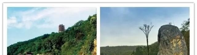 宠物医疗技术就业前景和就业方向,宠物药房加盟店排行榜前十