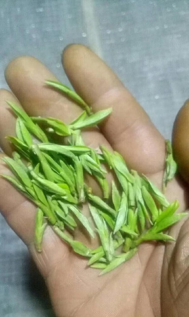 探茶什么意思,五茶人奶茶店加盟