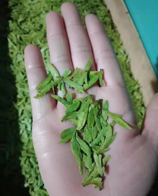 探茶什么意思,五茶人奶茶店加盟