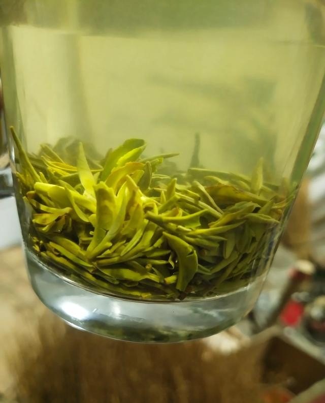 探茶什么意思,五茶人奶茶店加盟