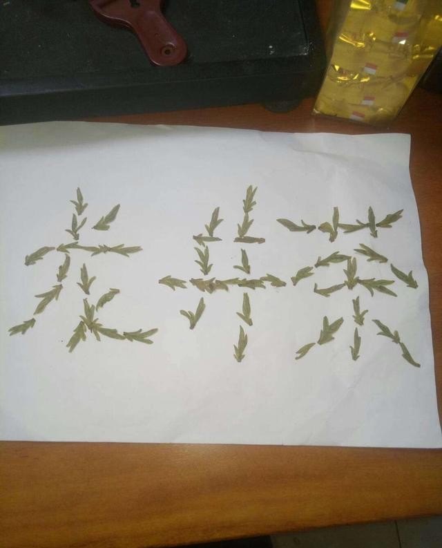 探茶什么意思,五茶人奶茶店加盟