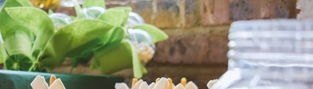 七家茶是什么_香港喝早茶时都喝什么茶