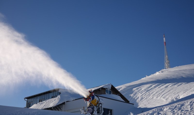 阜阳哪里有批发大米的 卖大米赚钱吗_蓝川雪啤哪里产的