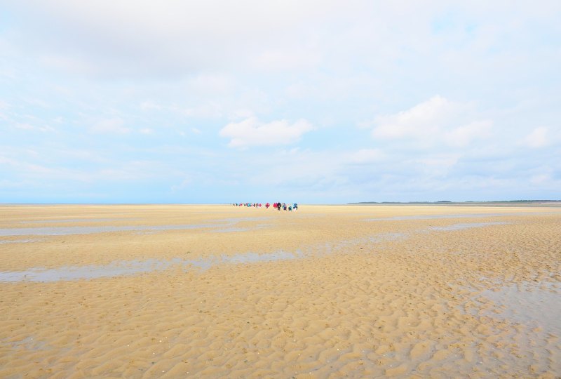 通州湾滩涂开放吗,滩涂旅游