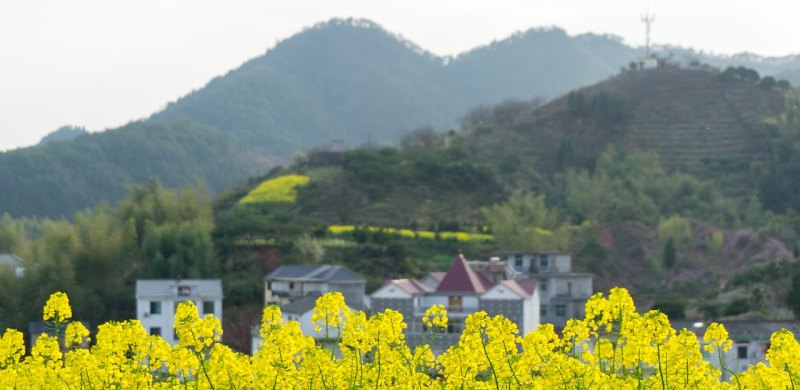 新平到昆明有哪几趟直达车_新平瓷宫开放时间