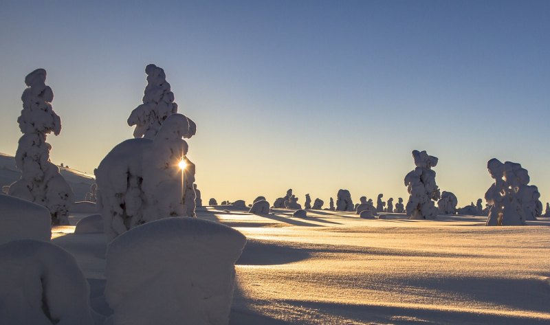 仿写盼的小练笔盼雪，冬天盼雪的心情句子