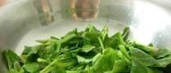 野菠菜可以炒鸡蛋吗,菠菜炒鸡蛋历史故事