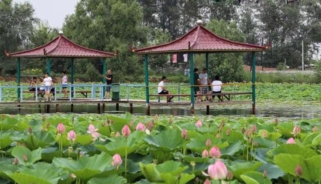 榆林沙地森林公园游玩路线_榆林哪最好玩