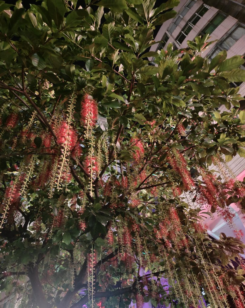 上海最贵的奶茶店是哪家 黄埔区奶茶加盟
