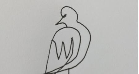 简笔画(1)——一笔画小鸟,常用英语口语对话简笔画