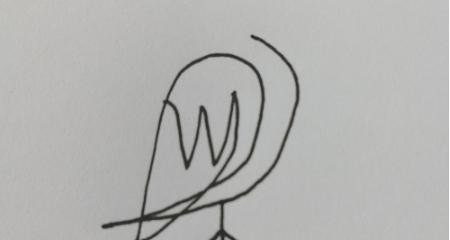 简笔画(1)——一笔画小鸟,常用英语口语对话简笔画
