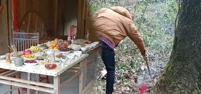 报春树的习俗，树木有关的习俗
