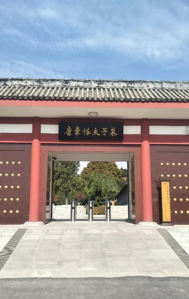 金敬道和朴成是亲表兄弟吗_佐拉为泰达效力时间