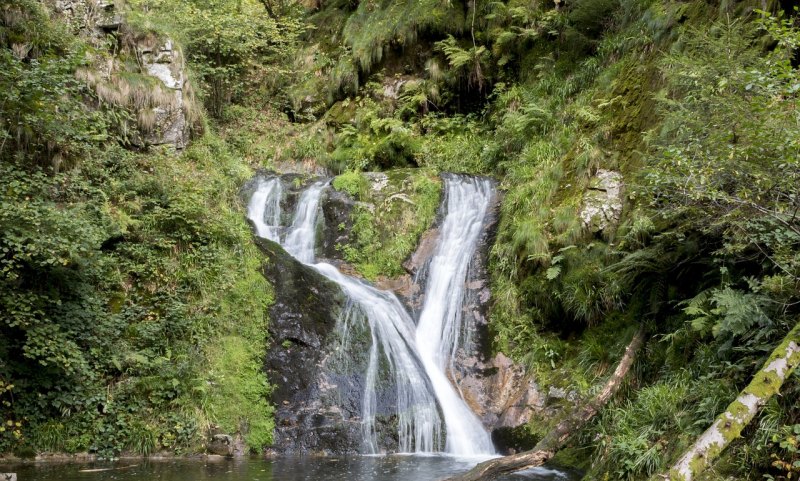 营山县有哪些好玩的地方,营山旅游