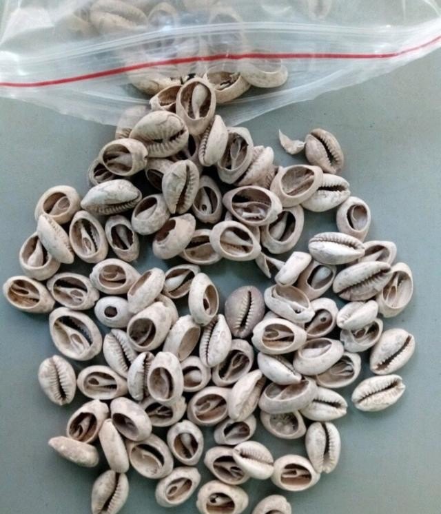 什么朝代的钱币最值钱,中国历史货币发展历程图