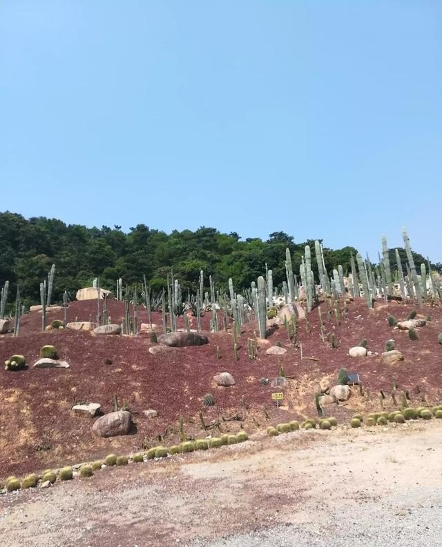 开发农业生态旅游需要什么_工商局规定生态农业旅游的经营范围