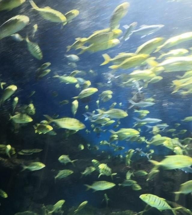 离河南比较近的山有哪些,河南周边旅游