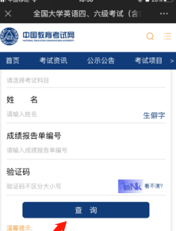 专四成绩自己怎么查,社会英语四级成绩