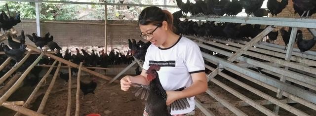 数字丰县是干什么的 丰县历史文化景点简介视频