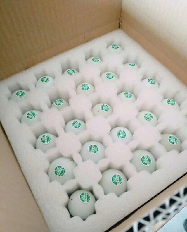 数字丰县是干什么的，丰县历史文化景点简介视频