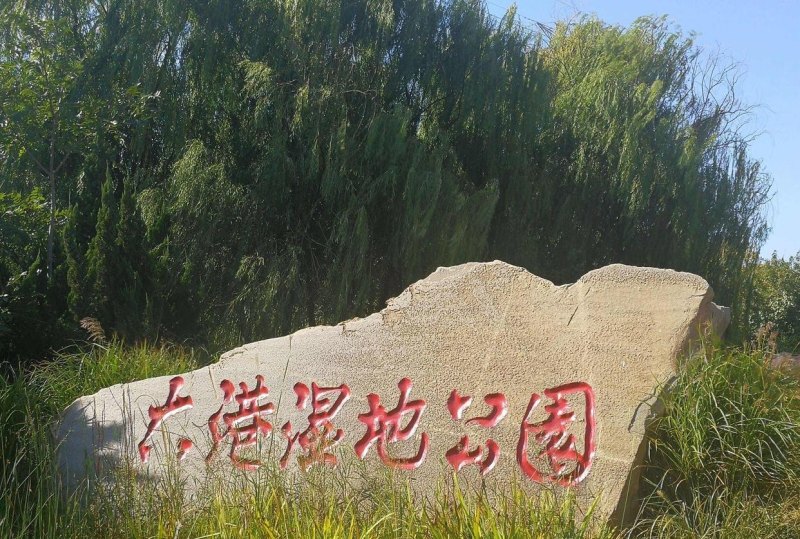 大港有什么好玩的地方_去天津大港出海游玩需要准备什么