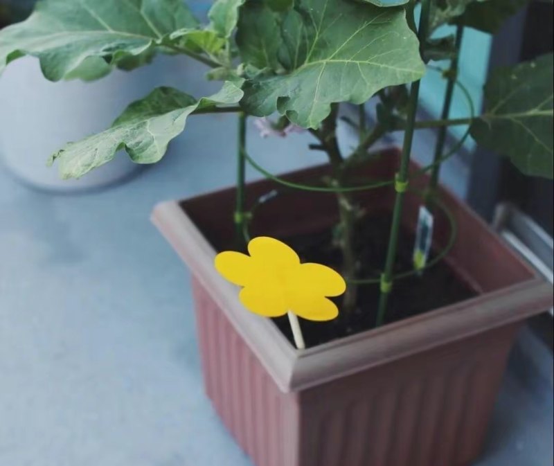 土里有虫子怎么消灭最快，土里有虫子怎么办