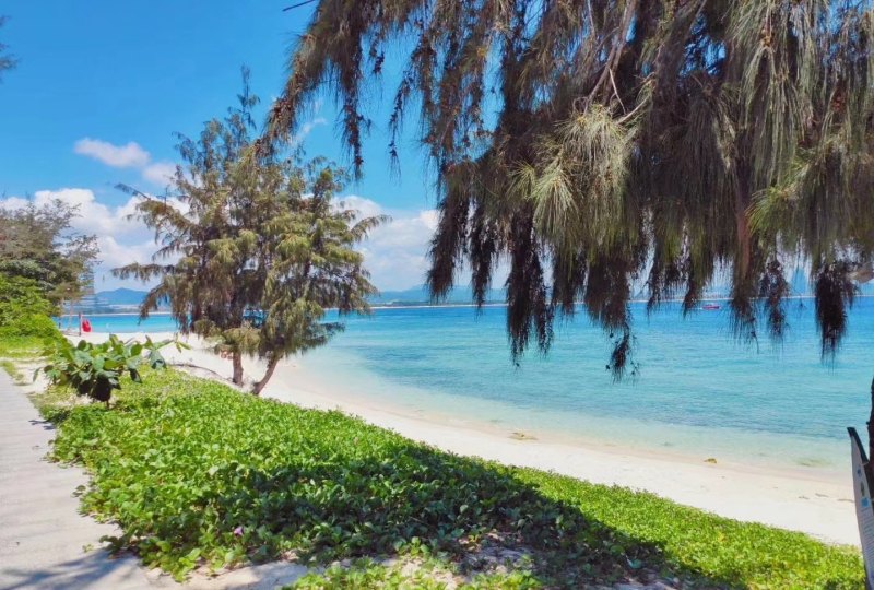 沈阳到三亚自由行攻略最佳路线,三亚到三亚旅游攻略