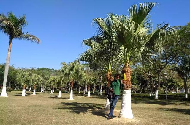 网上预约门票攻略_怎样在携程网上订景点旅游团