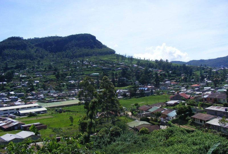 郎溪樱花基地要门票吗,郎溪旅游