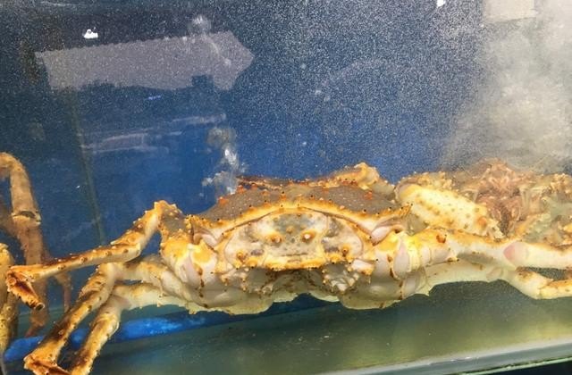 青白江哪里有中信银行atm,青白江自助美食推荐餐厅有哪些店铺呢