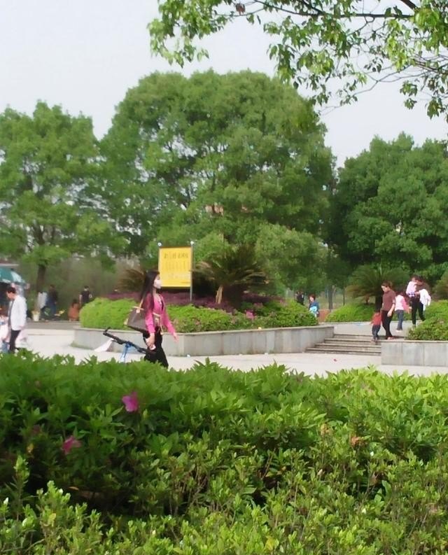 岳阳开了多少茶颜悦色_岳阳男人晚上去的场所