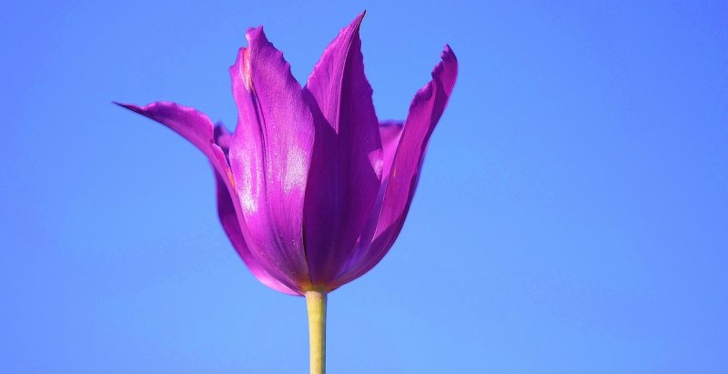中秋节快乐对话英语10句，祝福中秋快乐搞笑句子英文