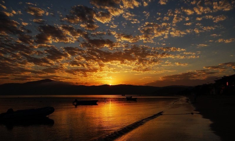海滩抓螃蟹的方法,掀开螃蟹光遇