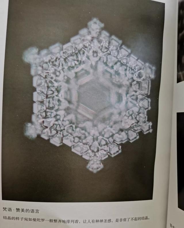 觉得自己很丑 怎么办_感觉自己太丑怎么办