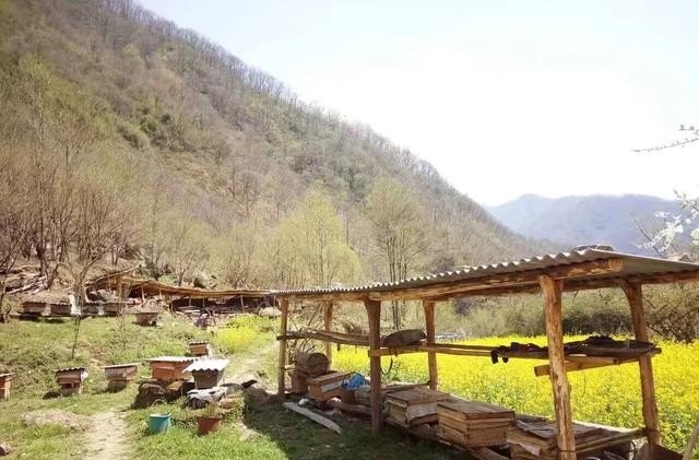 宁陕服务区怎么样，宁陕红色历史文化长廊建设 - 华夏历史