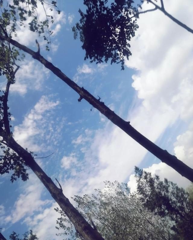 有没有让人听了很平静的歌曲?大家介绍一些,英语考试前的放松歌曲大全 - 宝贝英语
